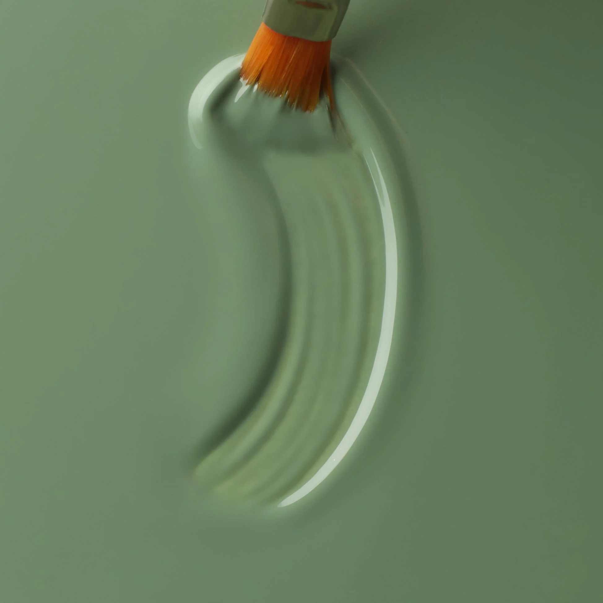 Color Gel Olive - Image 2