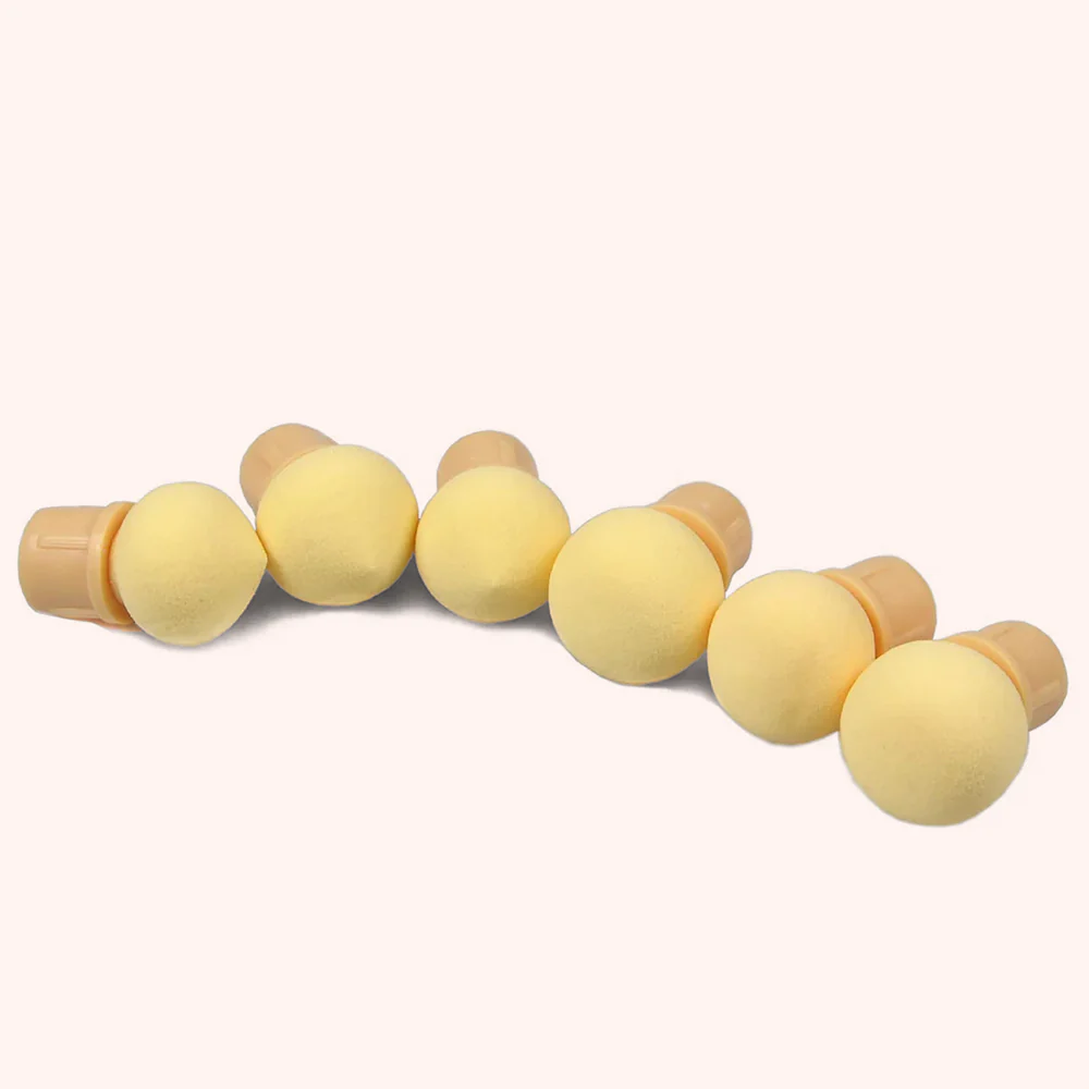 6 ricambi di spugnette per sfumafure