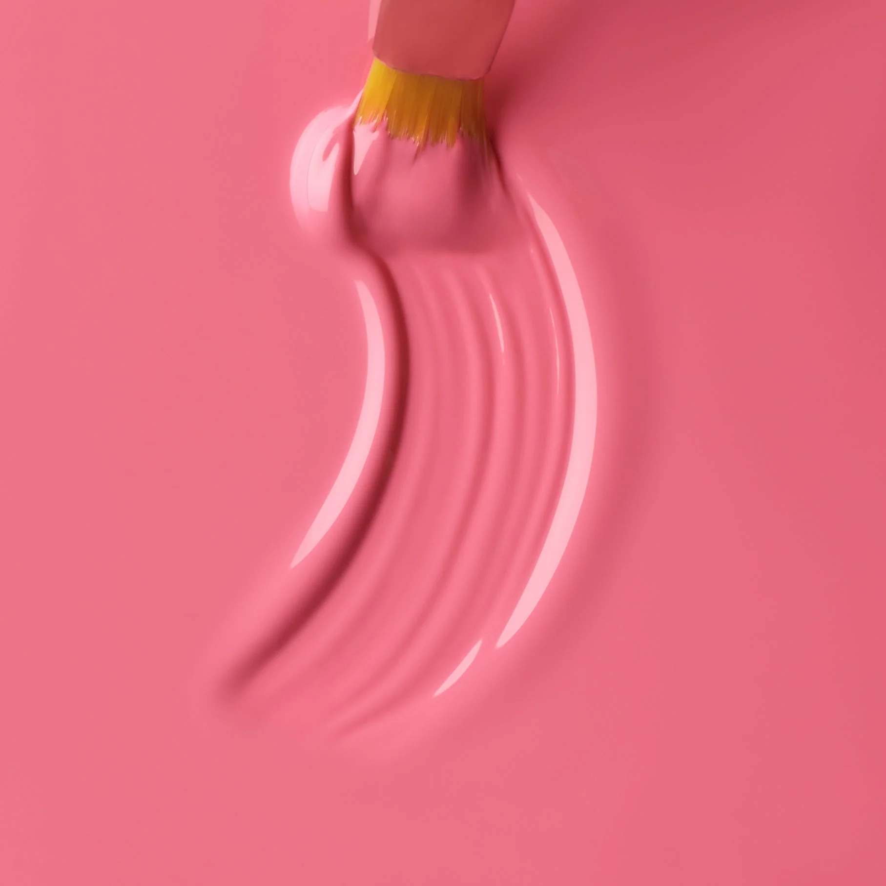 Supreme Color Gel Rose - Image 2